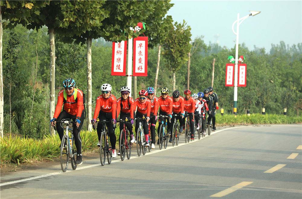 山东画报内容图片展示