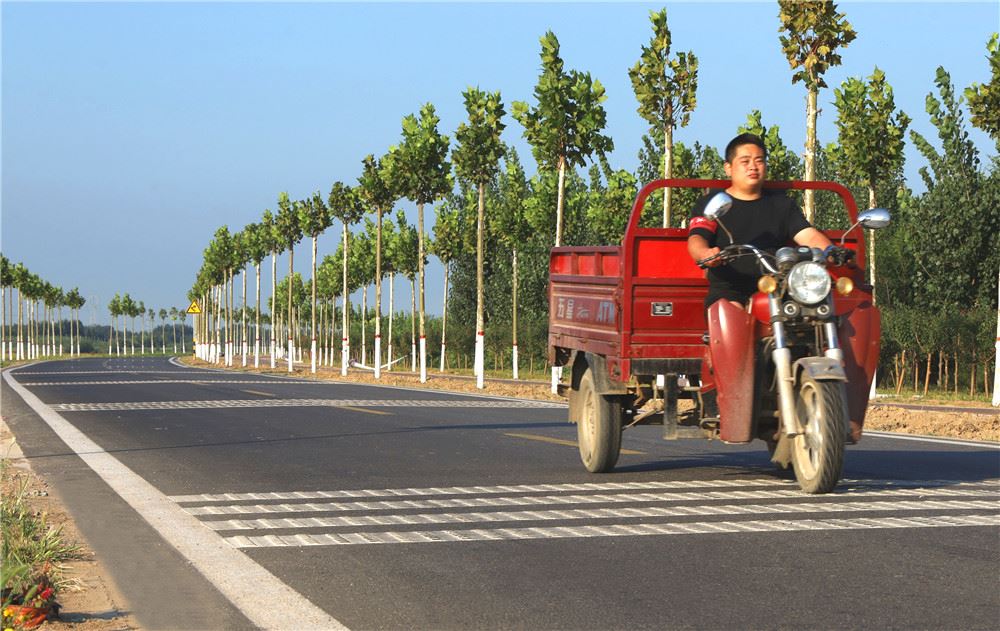 山东画报内容图片展示