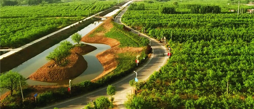 山东画报内容图片展示