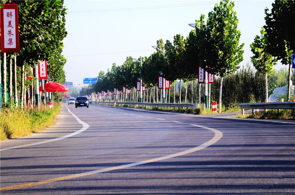 山东画报内容图片展示