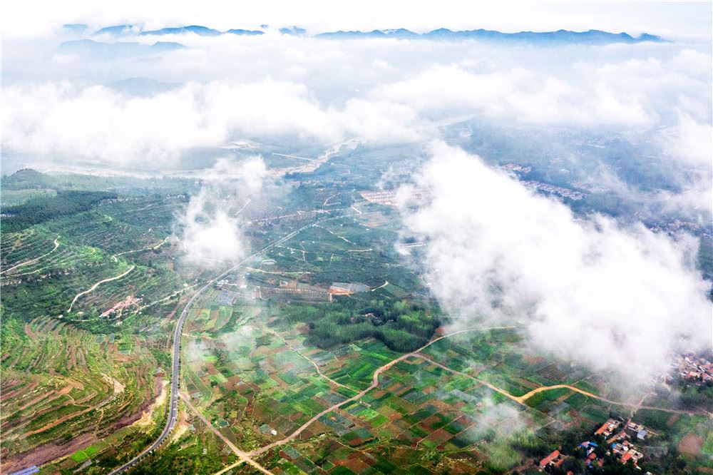 山东画报内容图片展示