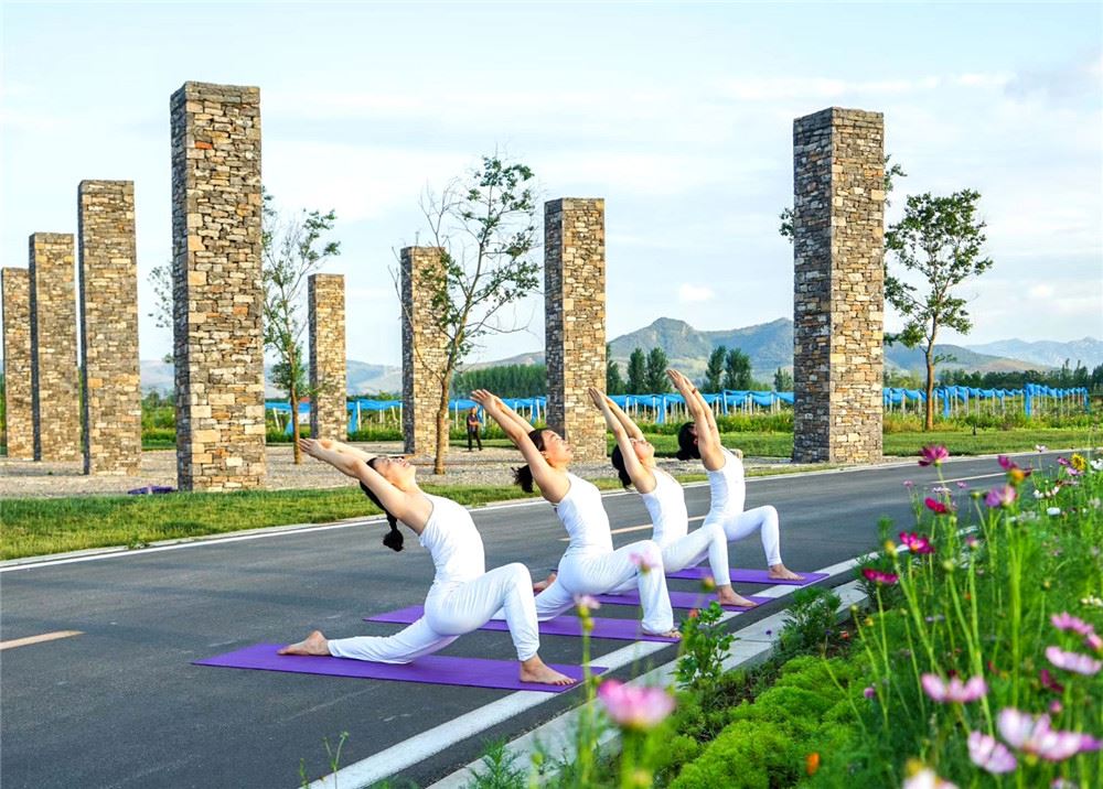 山东画报内容图片展示