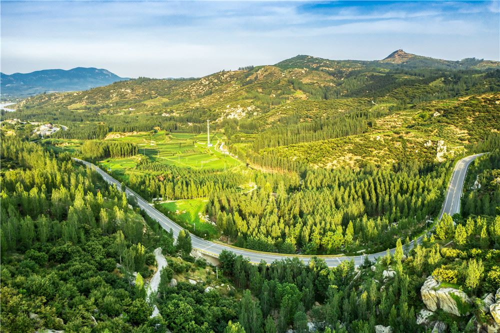山东画报内容图片展示