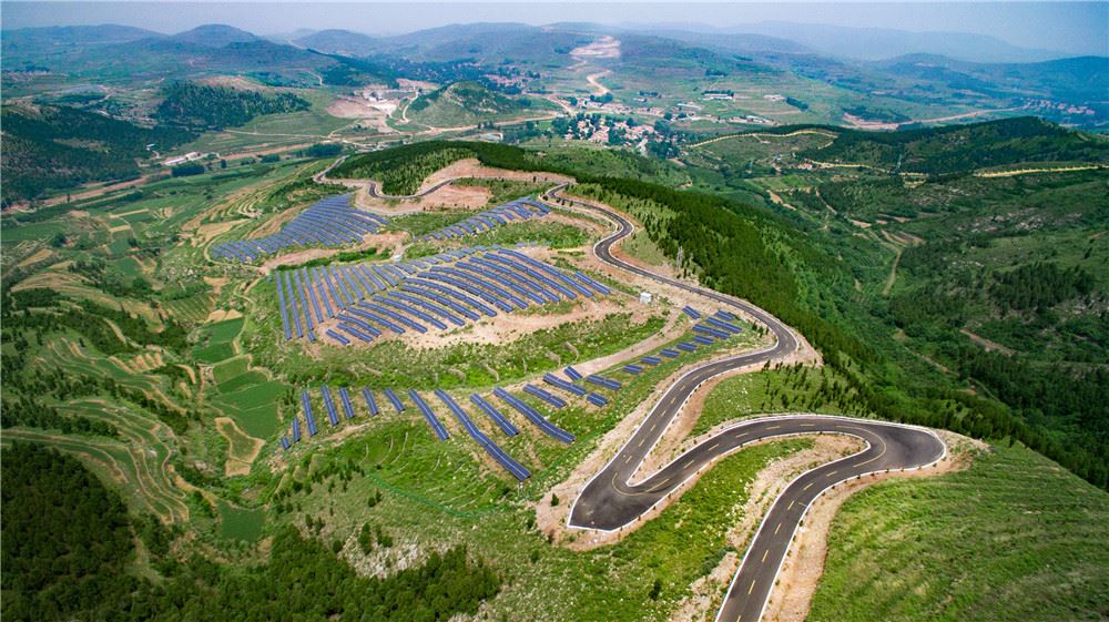 山东画报内容图片展示