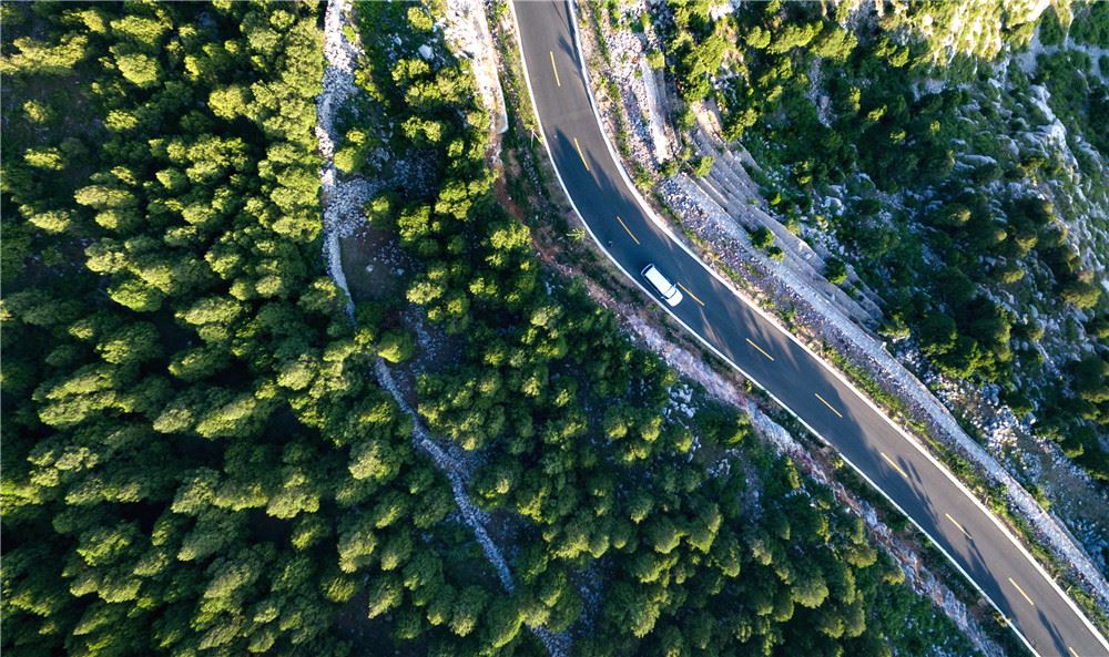 山东画报内容图片展示
