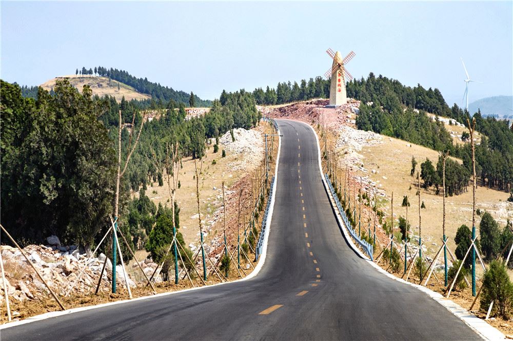 山东画报内容图片展示