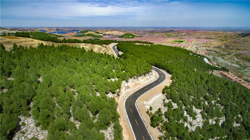 山东画报内容图片展示