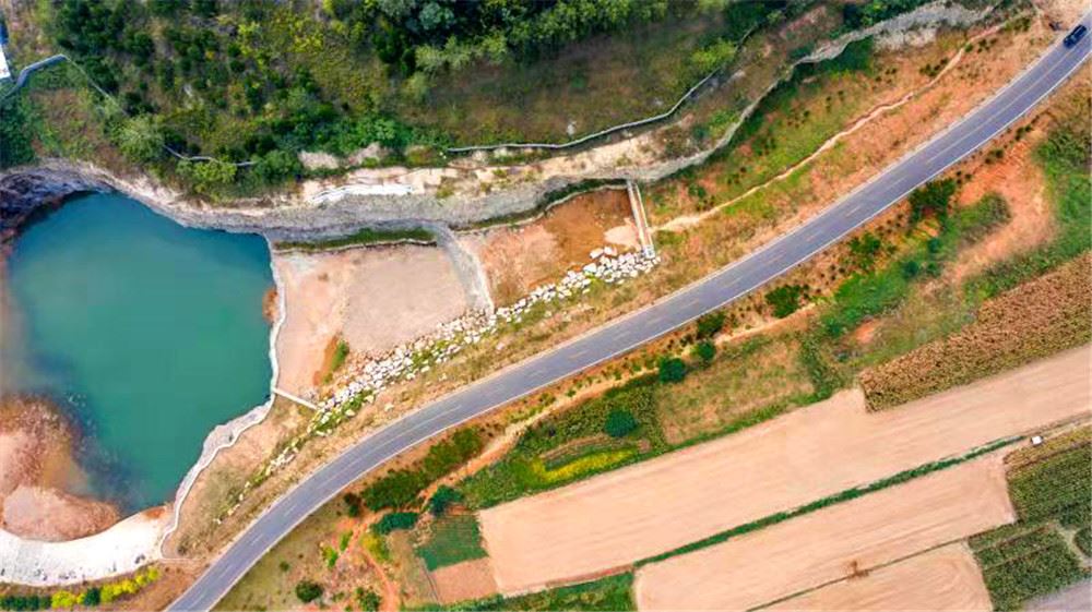 山东画报内容图片展示