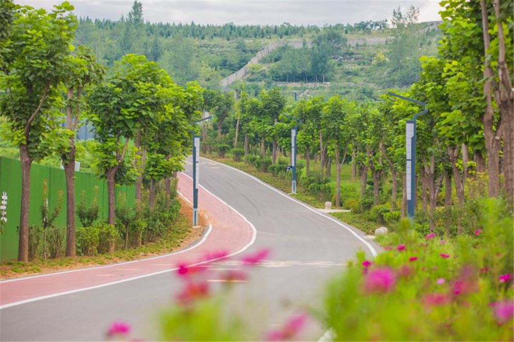 山东画报内容图片展示
