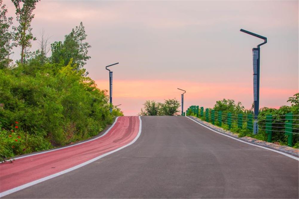 山东画报内容图片展示