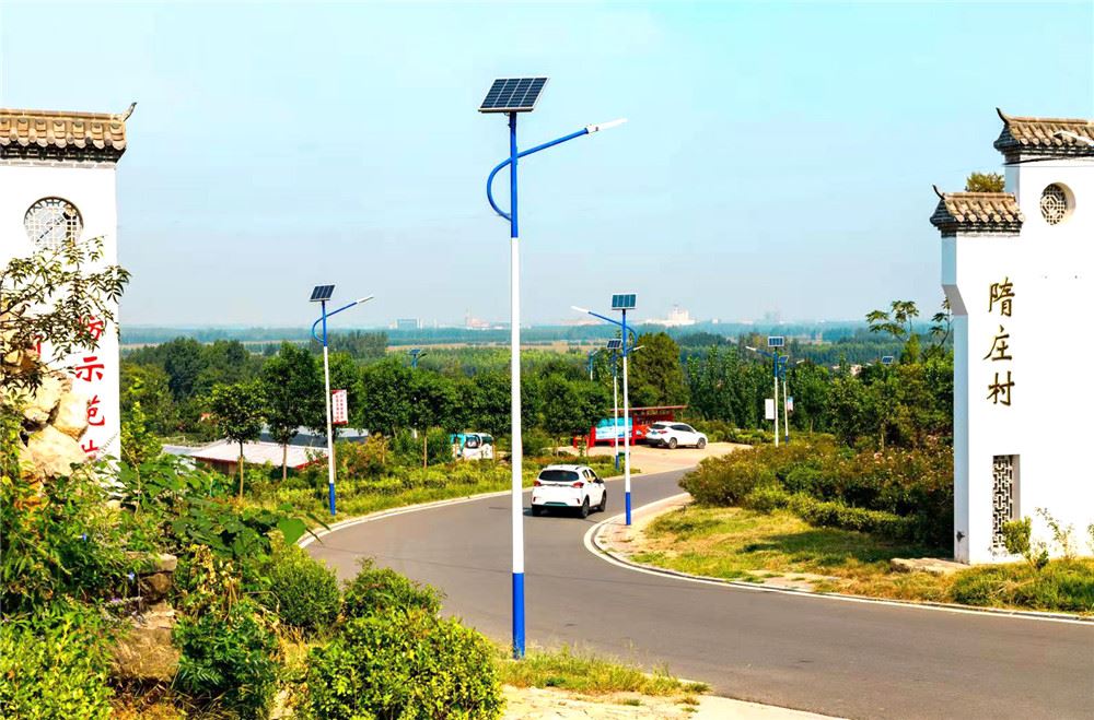 山东画报内容图片展示