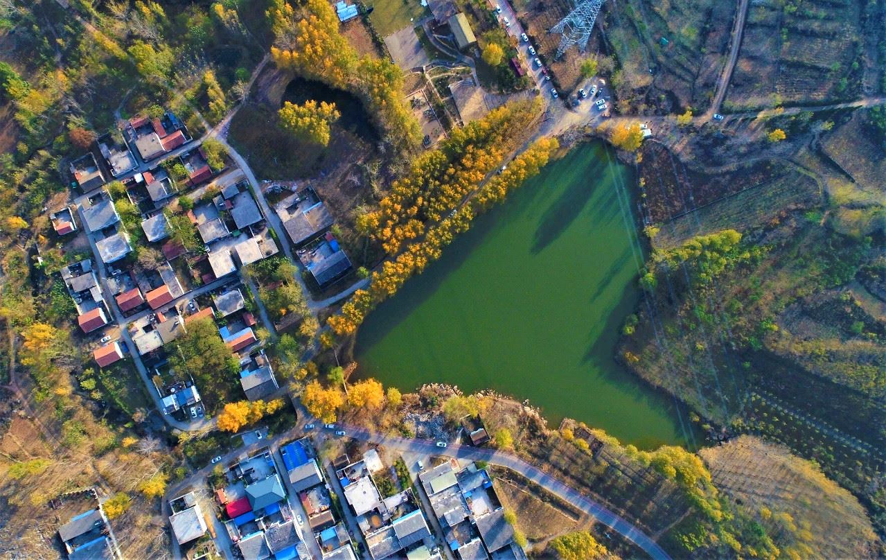 山东画报内容图片展示