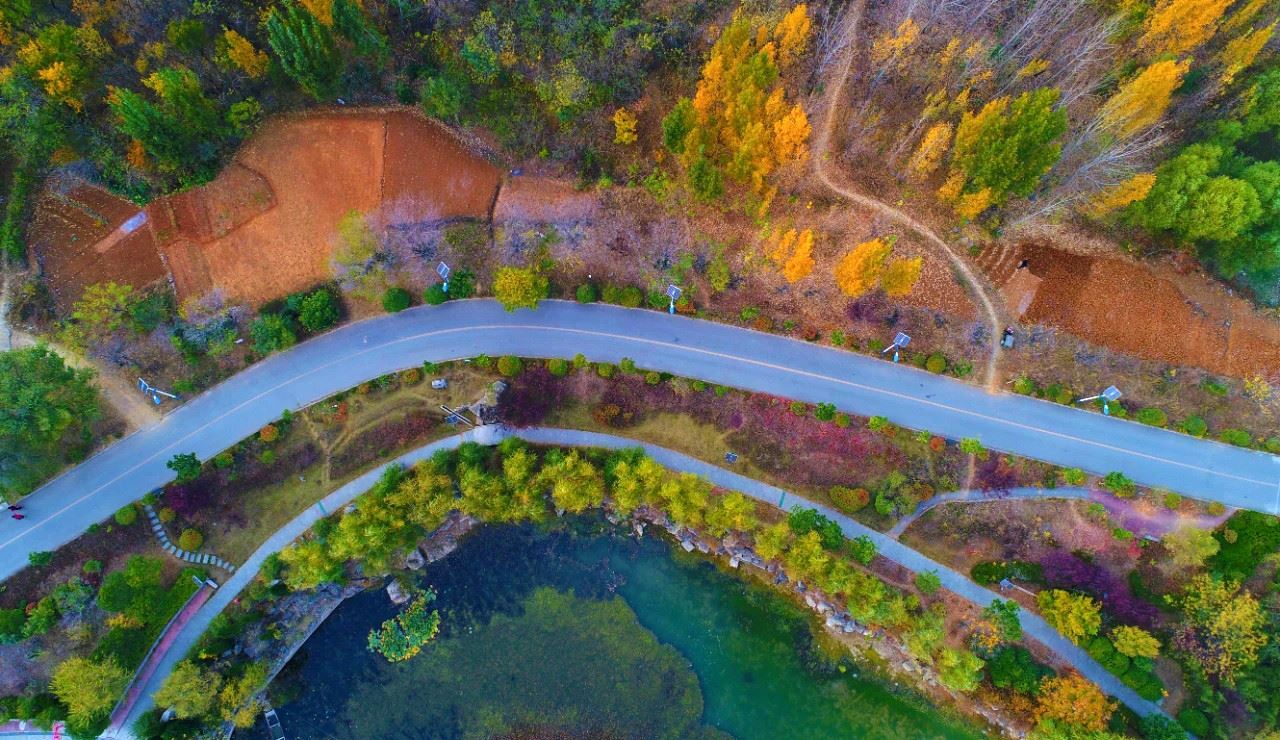 山东画报内容图片展示