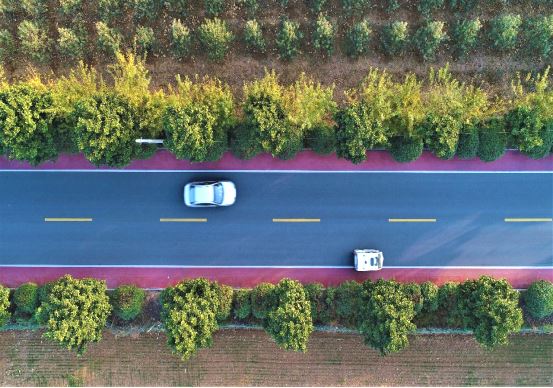 山东画报内容图片展示