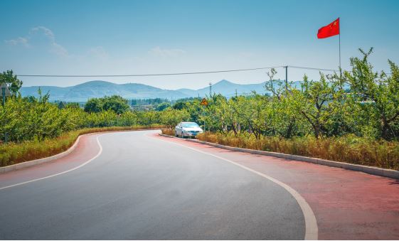 山东画报内容图片展示