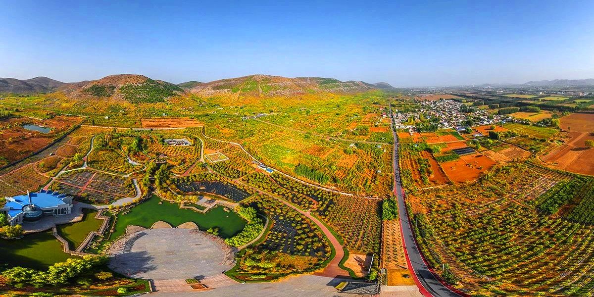 山东画报内容图片展示