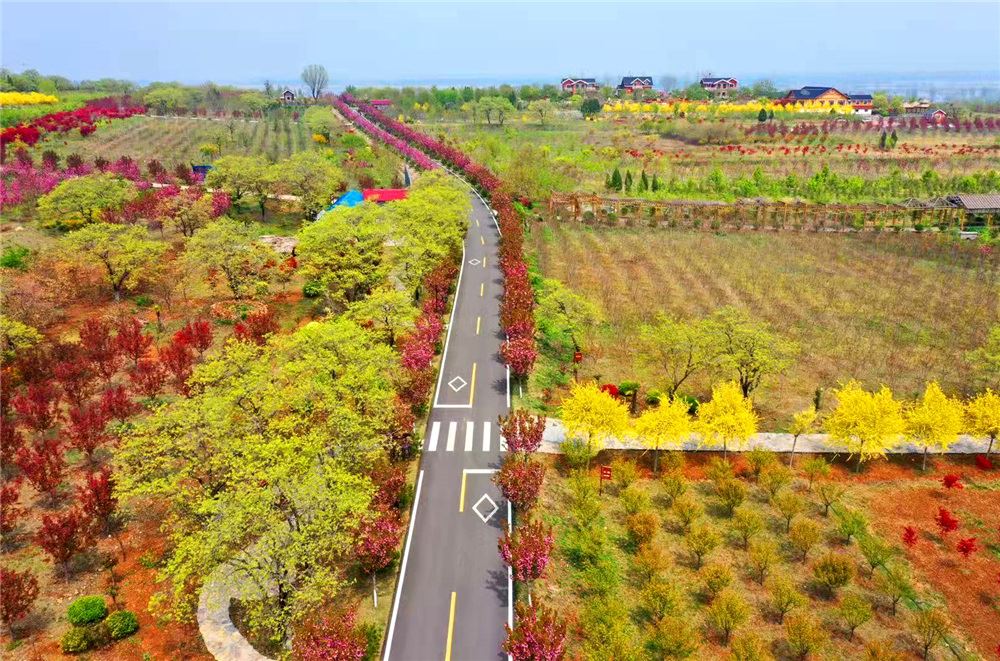 山东画报内容图片展示