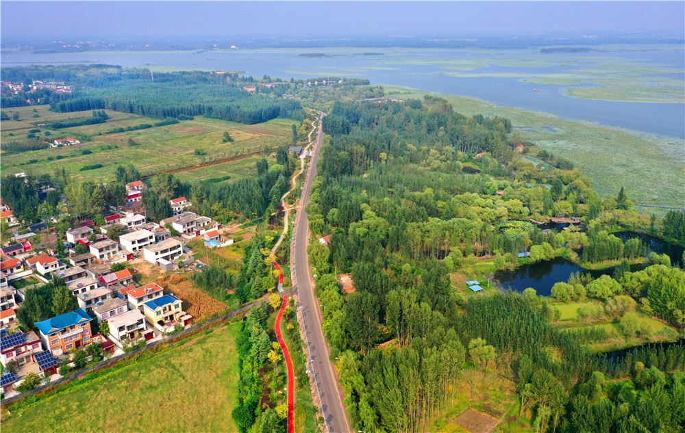 山东画报内容图片展示