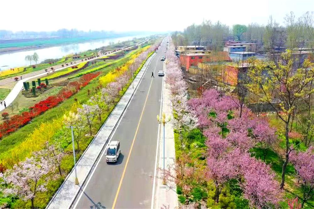 山东画报内容图片展示