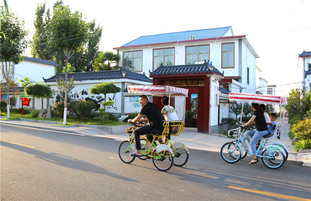 山东画报内容图片展示