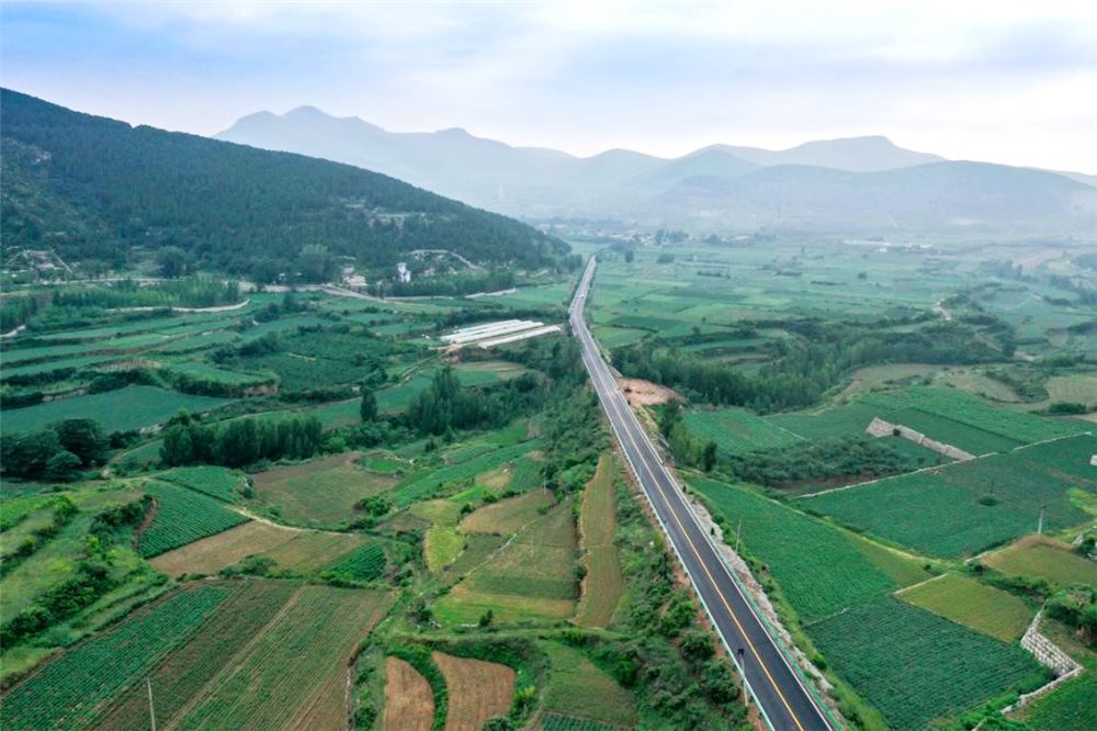 山东画报内容图片展示