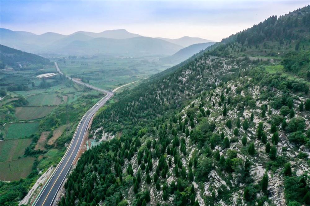 山东画报内容图片展示
