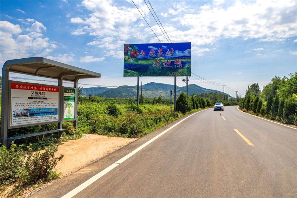 山东画报内容图片展示
