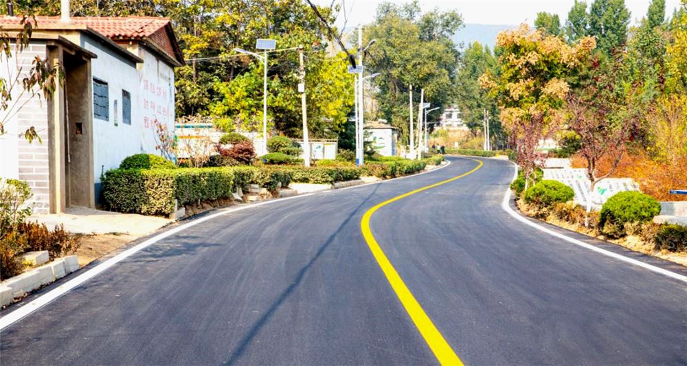 山东画报内容图片展示