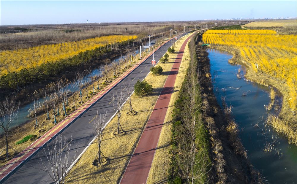 山东画报内容图片展示