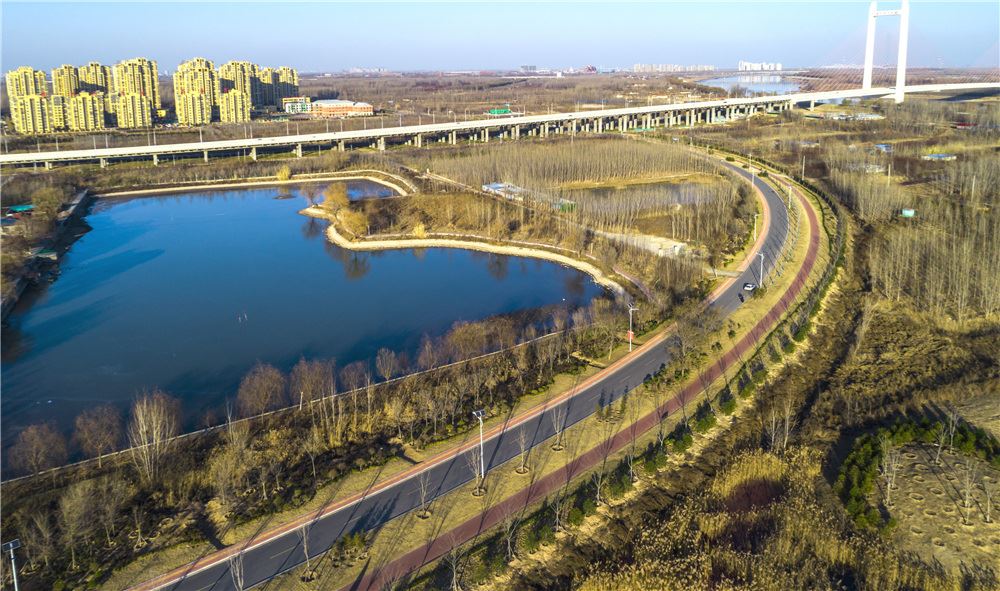 山东画报内容图片展示