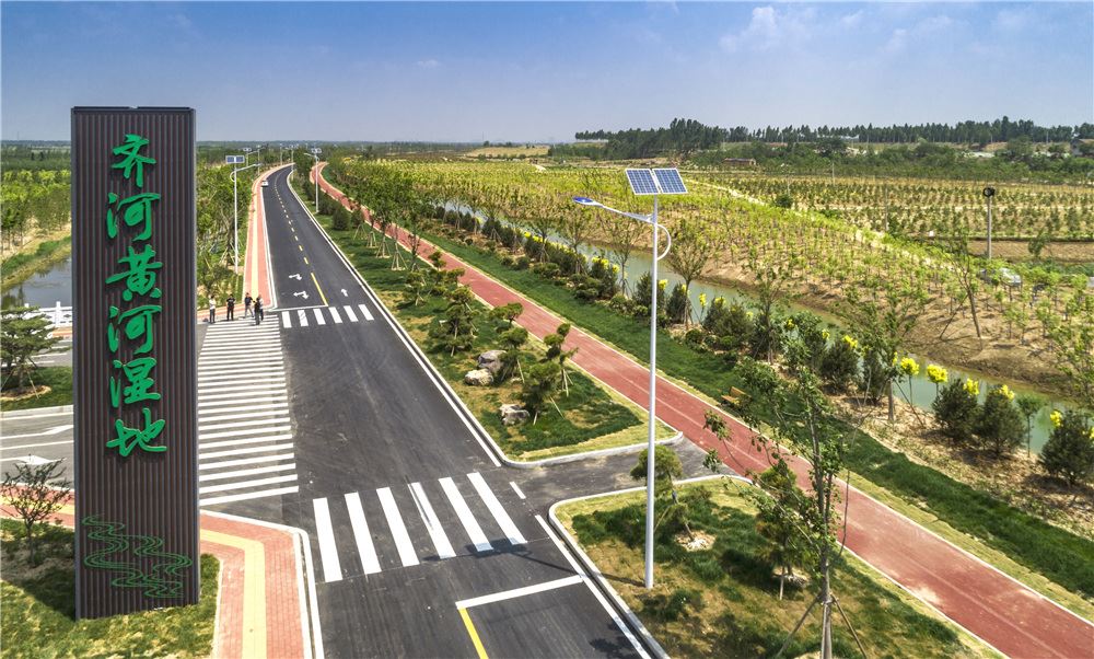 山东画报内容图片展示