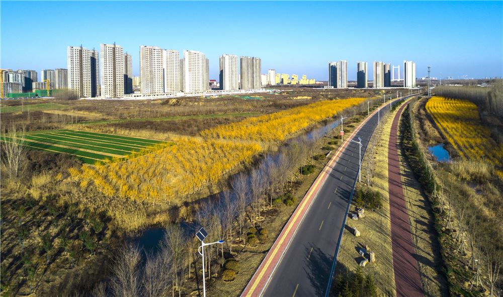 山东画报内容图片展示