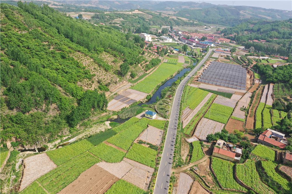 山东画报内容图片展示