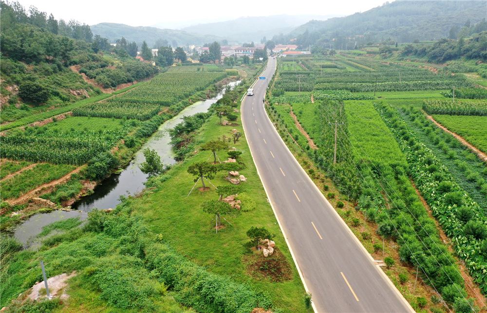 山东画报内容图片展示