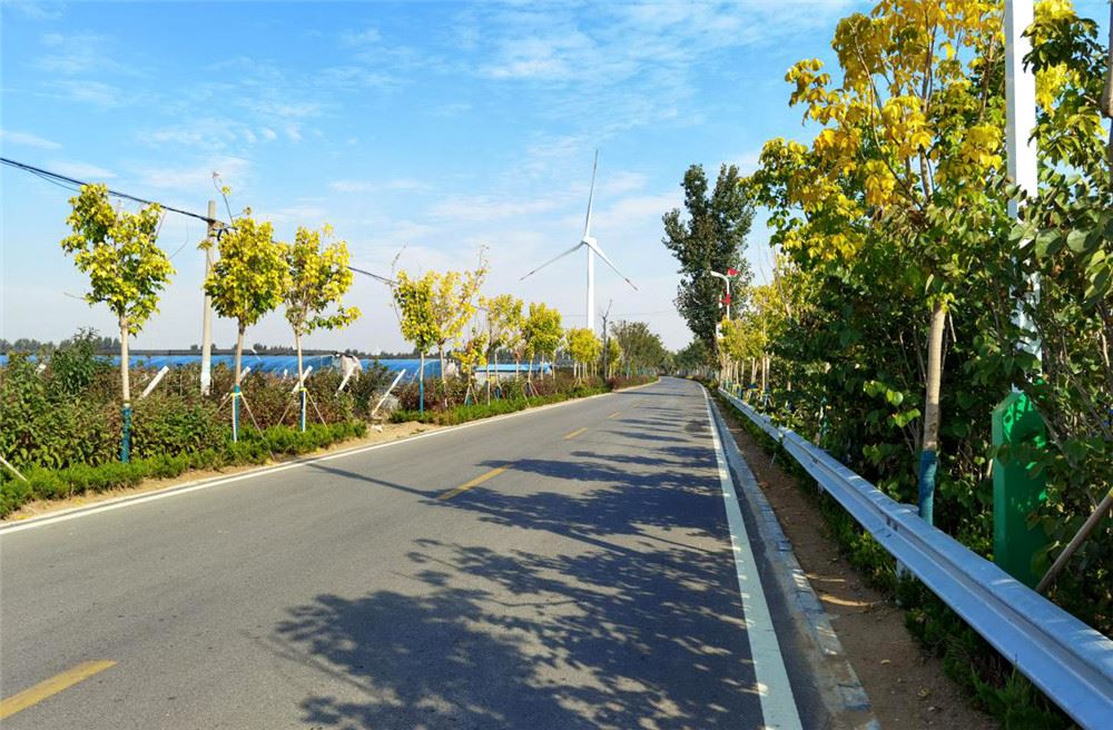 山东画报内容图片展示