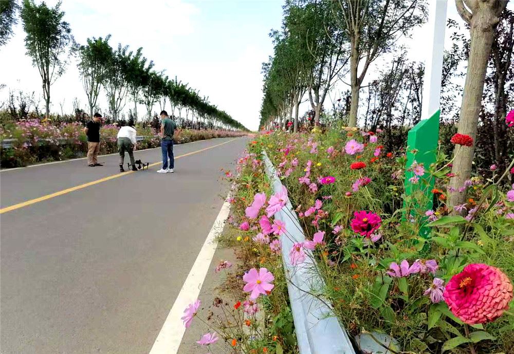 山东画报内容图片展示