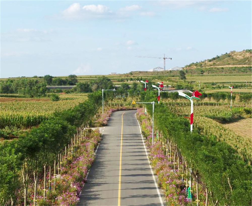 山东画报内容图片展示