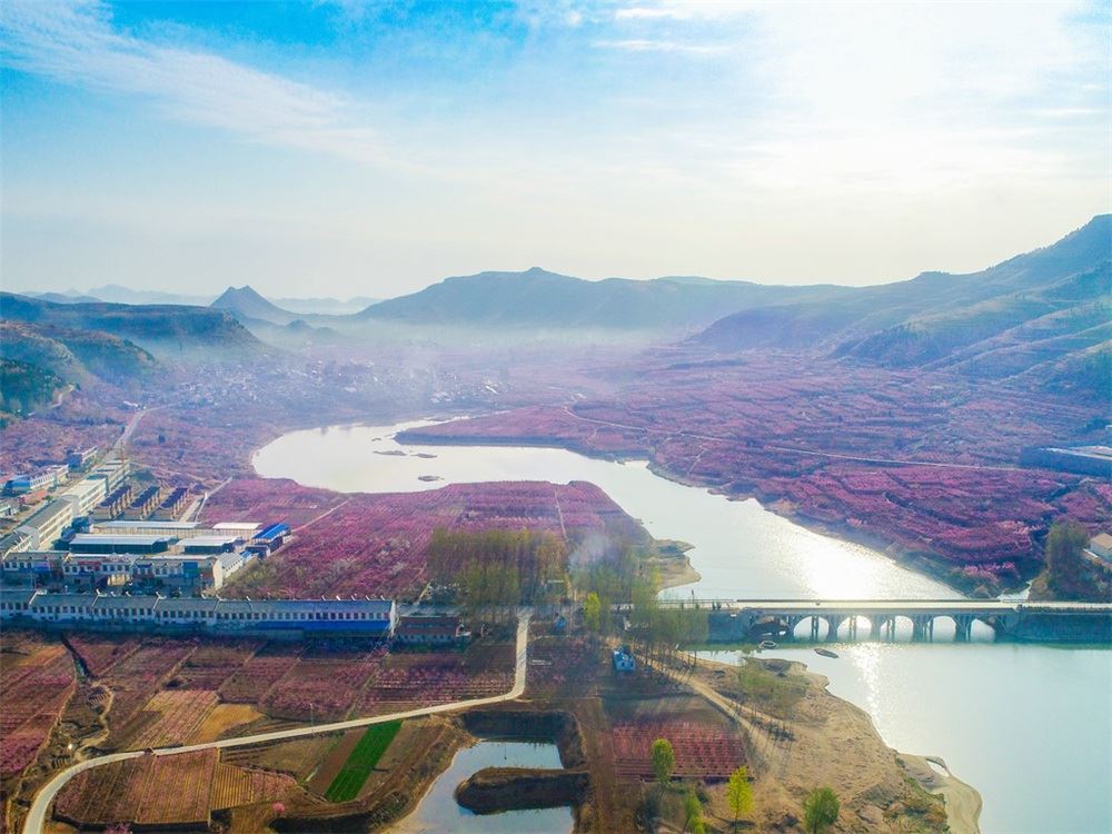 山东画报内容图片展示