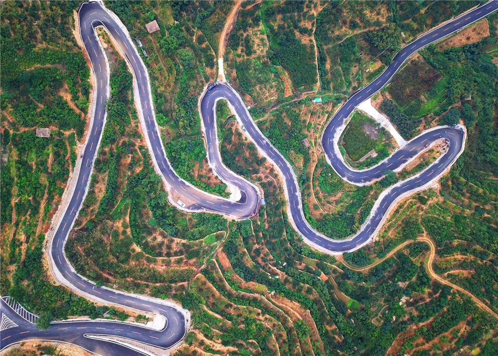 山东画报内容图片展示