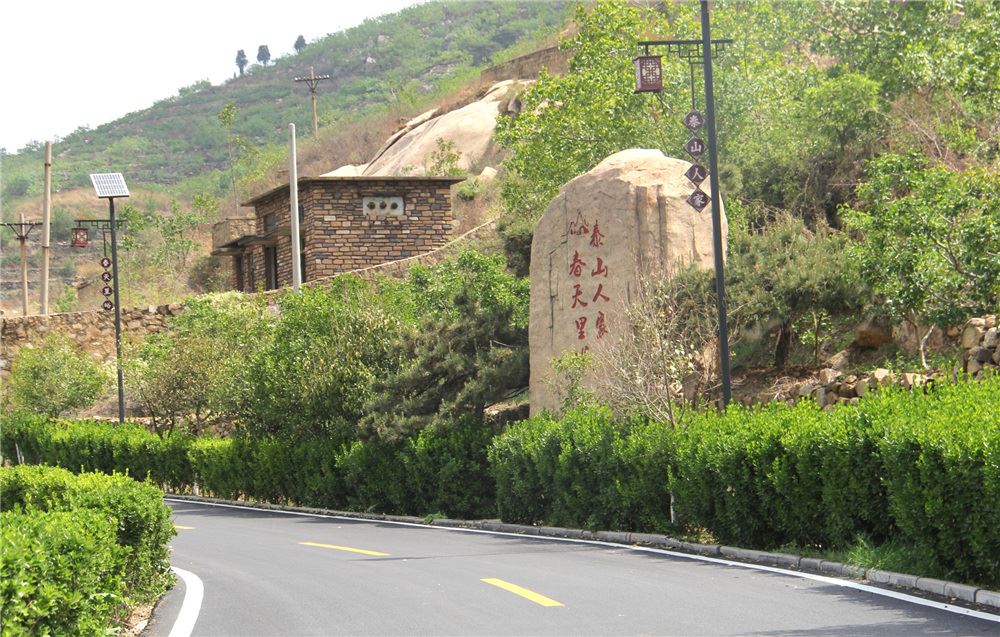 山东画报内容图片展示