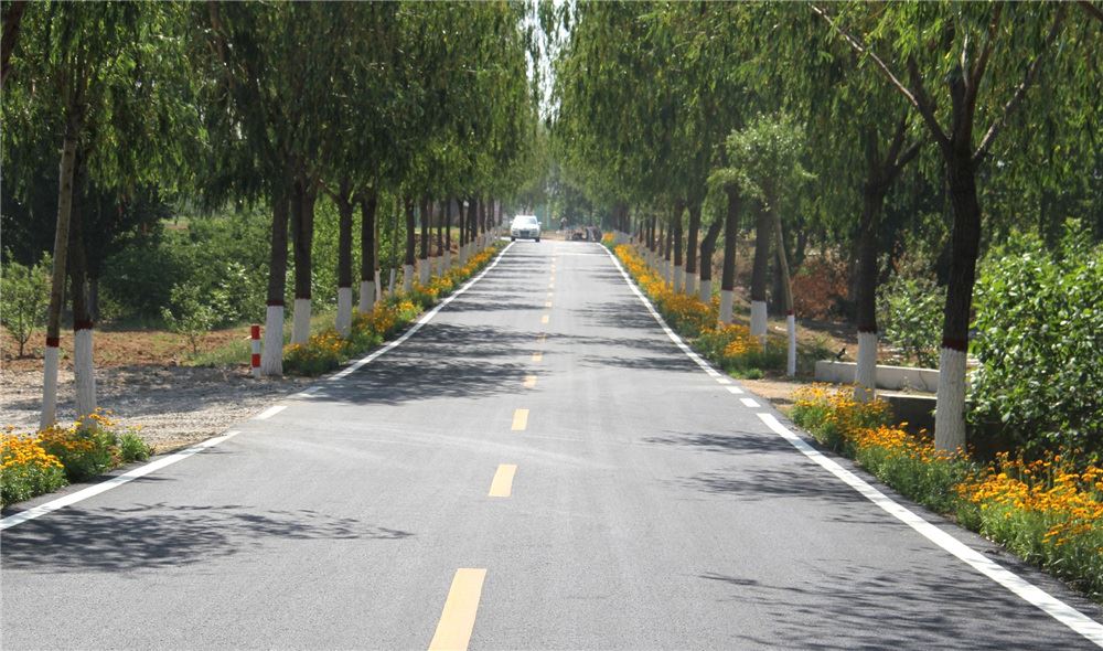 山东画报内容图片展示