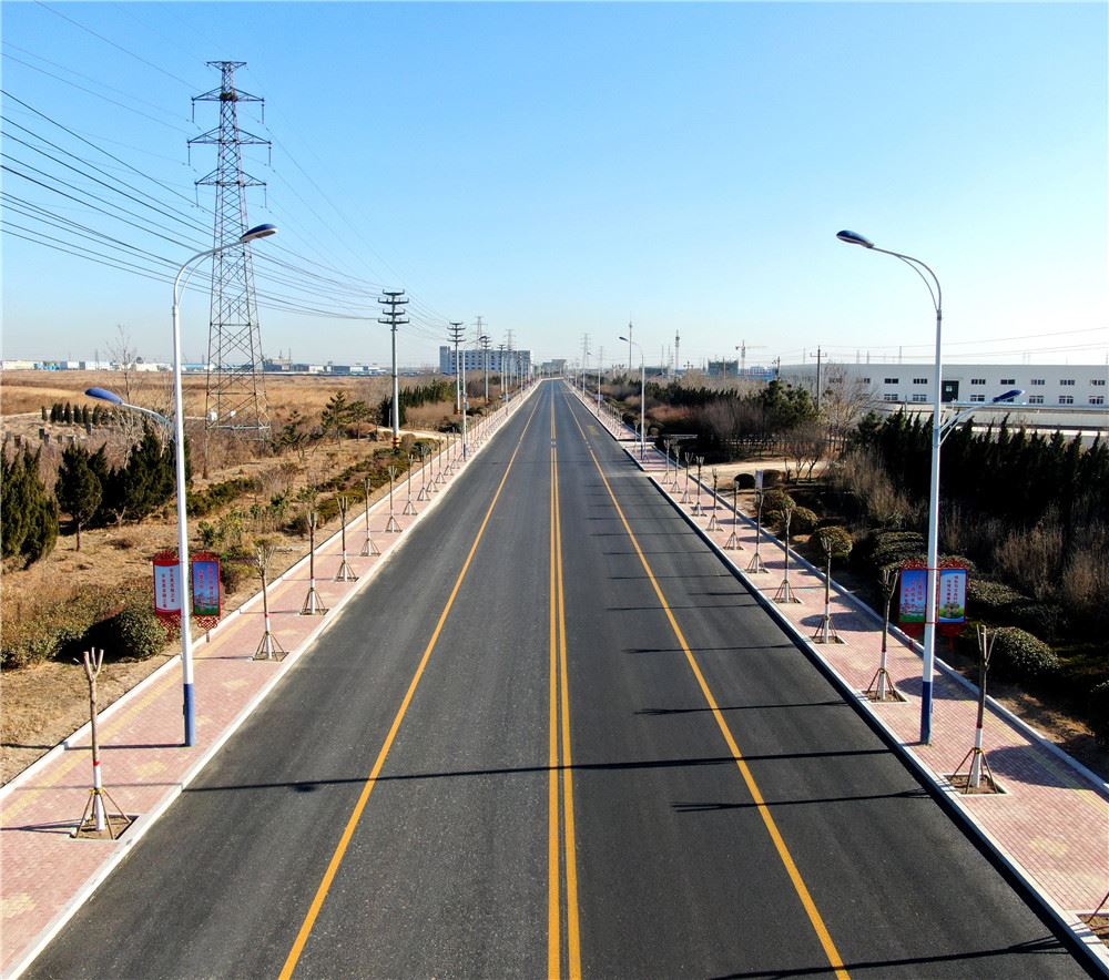 山东画报内容图片展示