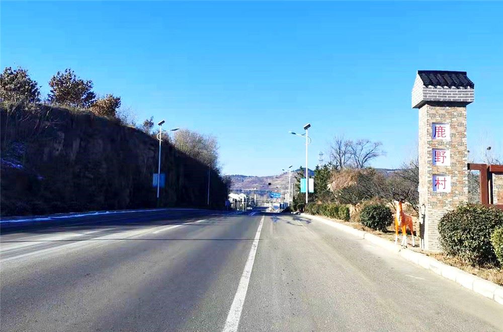 山东画报内容图片展示