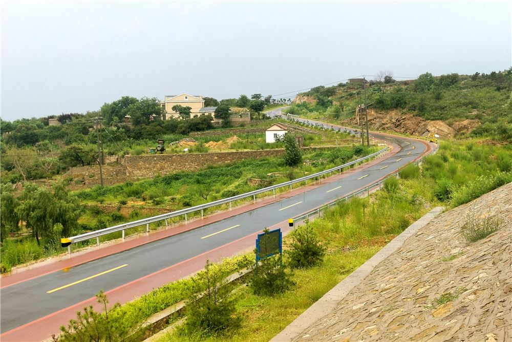 山东画报内容图片展示