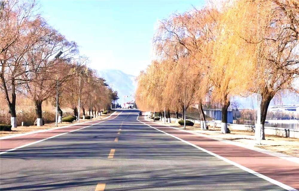 山东画报内容图片展示