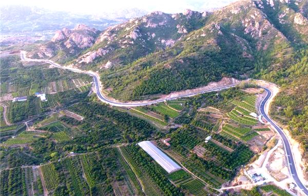 山东画报内容图片展示