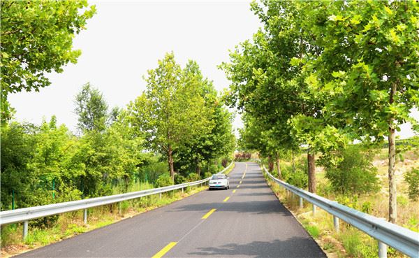 山东画报内容图片展示