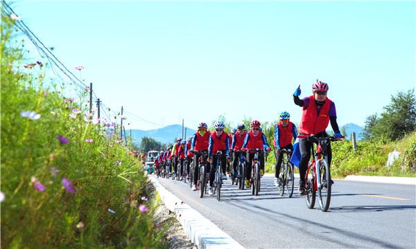 山东画报内容图片展示