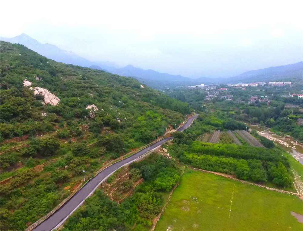 山东画报内容图片展示