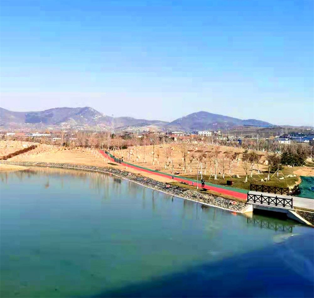 山东画报内容图片展示